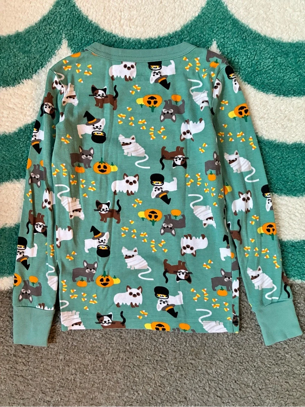 Lands’ End Snug Fit Halloween Pets PJ Set (Teal Shadow) Size 8
